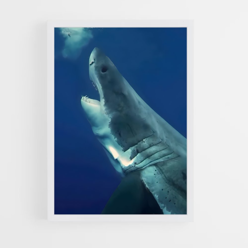 Poster Great white – affiche Plongée sous-marine (vue 3)